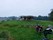 bild1