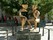 bild1
