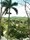 bild1