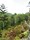 bild1