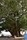 bild1