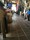 bild1