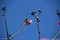 bild1