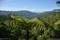 bild1