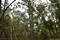 bild1
