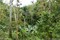 bild1