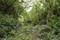 bild1