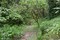 bild1