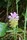 bild1