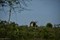 bild1