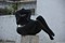 bild1