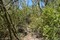 bild1