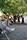 bild1