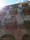 bild1